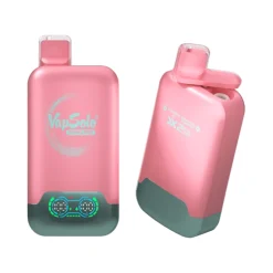 Vapsolo Twins Pro 50000 Puffs Disposable Vape Wholesale Strawberry Ice Mango Peach Watermelon