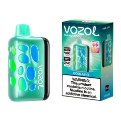 Vozol Rave 40K Puffs Disposable Vape Wholesale EU Warehouse Cool Mint