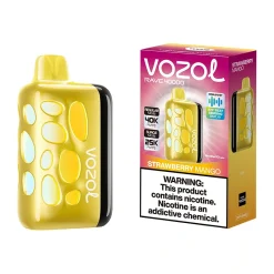 Vozol Rave 40K Puffs Disposable Vape Wholesale EU Warehouse Strawberry Mango