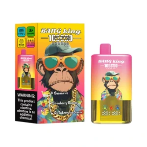 Bang King 100000 Puffs 3 in 1 Triple Flavor Disposable Vape Wholesale 1