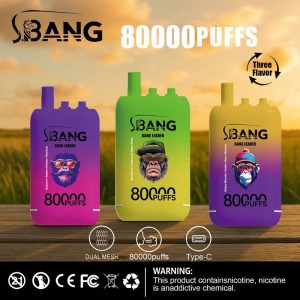 Bang Leader 80K Puffs 3 in 1 Disposable Vape Wholesale 1