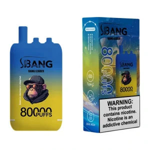 Bang Leader 80K Puffs 3 in 1 Disposable Vape Wholesale Blueberry Ice & Black Dragon Ice & Mango Peach