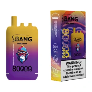Bang Leader 80K Puffs 3 in 1 Disposable Vape Wholesale Blueberry Watermelon & Strawberry Mango & Blackcurrant