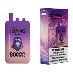 Bang Leader 80K Puffs 3 in 1 Disposable Vape Wholesale Cola Ice & Blueberry Raspberry & Peach Mango Watermelon