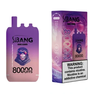 Bang Leader 80K Puffs 3 in 1 Disposable Vape Wholesale Cola Ice & Blueberry Raspberry & Peach Mango Watermelon