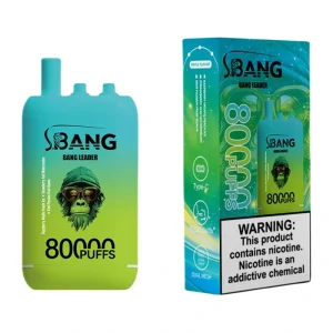 Bang Leader 80K Puffs 3 in 1 Disposable Vape Wholesale Raspberry Mojito Peach Ice & Strawberry And Watermelon & Kiwi Passion Fruit Guava