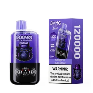 Bang Leader Stoll 120K 120000 Puffs 2 in 1 Disposable Vape