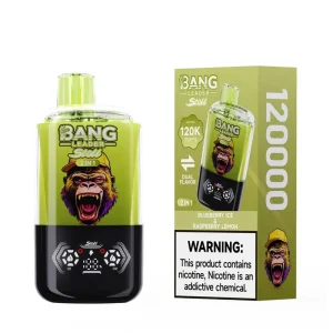 Bang Leader Stoll 120K 2 in 1 Disposable Vape 120K Puffs Featuring Rechargeable Battery and Precision 1 0 Ohm Coil