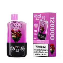 Bang Leader Stoll 120K 2 in 1 Disposable Vape 120K Puffs Rechargeable Device Offering Four Nicotine Levels