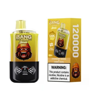 Bang Leader Stoll 120K Disposable Vape Wholesale 120000 Puffs 2 in 1 All in One Vaping System with 650mAh Battery