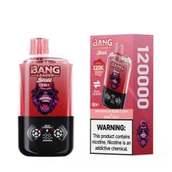 Bang Leader Stoll 120K Disposable Vape Wholesale 2 in 1 Flavor Variety and 120000 Puffs for High Volume Retail
