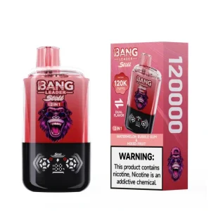 Bang Leader Stoll 120K Disposable Vape Wholesale 2 in 1 Flavor Variety and 120000 Puffs for High Volume Retail