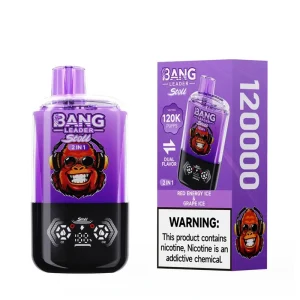 Bang Leader Stoll 120K Disposable Vape Wholesale Ultimate 2 in 1 Experience with 120000 Puffs and Multiple Nicotine Strengths