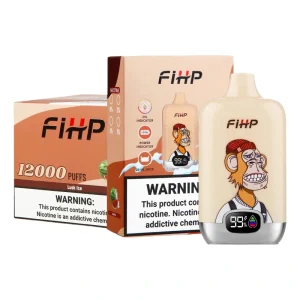 FIHP 12000 Puffs Digital Box Disposable Vape Wholesale 5