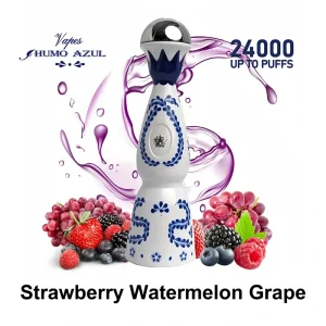 Humo Azul 24000 Puffs Disposable Vape Wholesale 2
