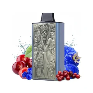 JNR Mega Box 25000 Puffs Disposable Vape Wholesale 2