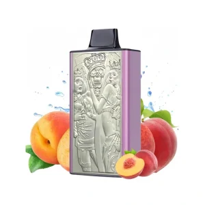 JNR Mega Box 25000 Puffs Disposable Vape Wholesale 3