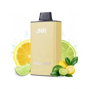 JNR Mega Box 25000 Puffs Disposable Vape Wholesale 4