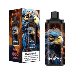 Lavie Skyking 40000 Puffs Disposable Vape Wholesale 5
