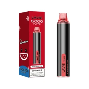 Lavie Torch 6000 Puffs Disposable Vape Wholesale