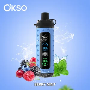 OKSO Shisha Max 40000 40K Puffs Disposable Vape Wholesale 2