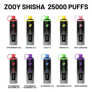 Zooy Shisha 25K Puffs DTL Disposable Vape From EU Warehouse 1