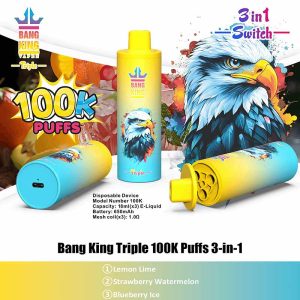 02 Lemon Lime Bang King Triple 100K 3 in 1 100000 Puffs Vape Wholesale