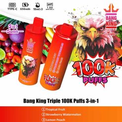 05 Tropical Fruit Bang King Triple 100K 3 in 1 100000 Puffs Vape Wholesale