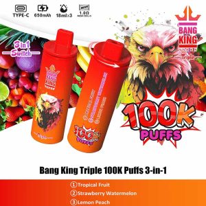 05 Tropical Fruit Bang King Triple 100K 3 in 1 100000 Puffs Vape Wholesale