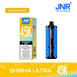 11 Blueberry mint JNR Shisha Ultra 45K 45000 Puffs Disposable Vape Wholesale