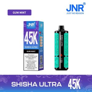 15 Gum mint JNR Shisha Ultra 45K 45000 Puffs Disposable Vape Wholesale