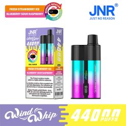 3 Fresh strawberry lce Blueberry sour raspberry JNR WindWhip 44K Puffs 2 in 1 Disposable Vape Wholesale