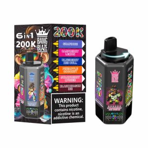 Bang Blaze 200K 6 in 1 200000 Puffs 6 Taste Vape Wholesale 6 Independent E liquid Tanks