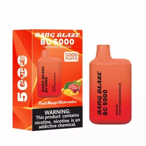 Bang Blaze BC 5000 Puffs Disposable Vape Wholesale 5