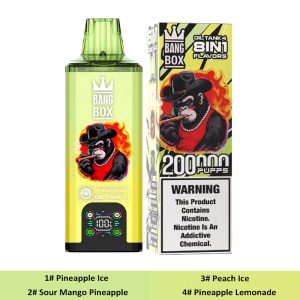 Bang Box 200K 8 in 1 200000 Puffs 8 Flavor Vape Wholesale 2