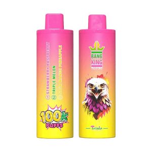 Bang King Triple 100K 3 in 1 100000 Puffs Vape Wholesale