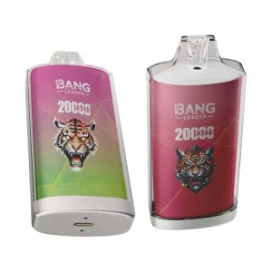 Bang Leader 20000 Puffs Disposable Vape Wholesale
