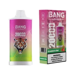 Bang Leader 20000 Puffs Disposable Vape Wholesale Strawberry Kiwi