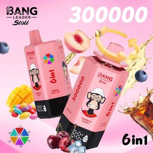 Bang Leader Stoll 300K 6 in 1 300000 Puffs Disposable Vape 4