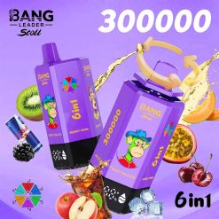 Bang Leader Stoll 300K 6 in 1 300000 Puffs Disposable Vape 6