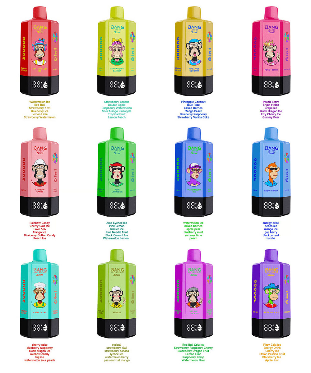 Bang Leader Stoll 300K 6 in 1 300000 Puffs Disposable Vape 6 Independent Tank 6 Flavors in One Device 12 Flavors