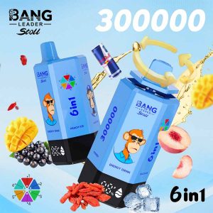 Bang Leader Stoll 300K 6 in 1 300000 Puffs Disposable Vape 7