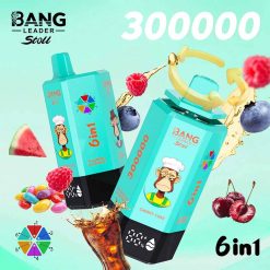 Bang Leader Stoll 300K 6 in 1 300000 Puffs Disposable Vape 8