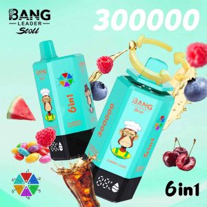 Bang Leader Stoll 300K 6 in 1 300000 Puffs Disposable Vape 8