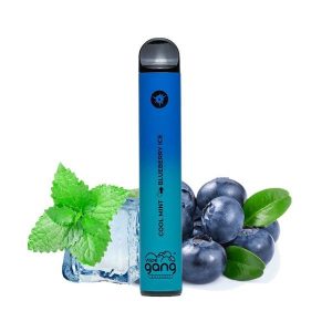 Bang XXL 2500 Puffs Disposable Vape Starter Kit Wholesale 3