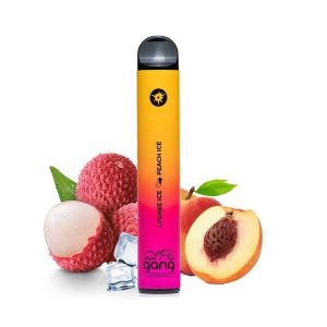 Bang XXL 2500 Puffs Disposable Vape Starter Kit Wholesale 5