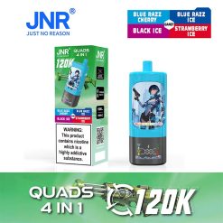 Berry Icy Series JNR Quads 120K 4 in 1 120000 Puffs 4 Flavor Vape Wholesale