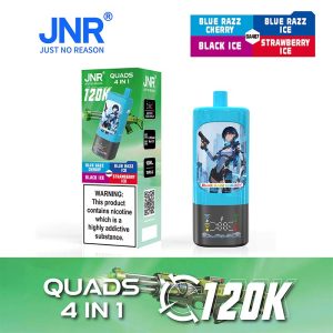 Berry Icy Series JNR Quads 120K 4 in 1 120000 Puffs 4 Flavor Vape Wholesale