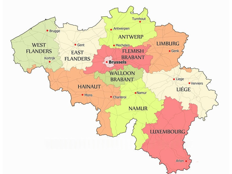 Bulk Order Disposable Vape Wholesale in Belgium