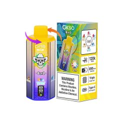 OKSO 120K 6 in 1 120000 Puffs 6 Flavor Vape Wholesale 3
